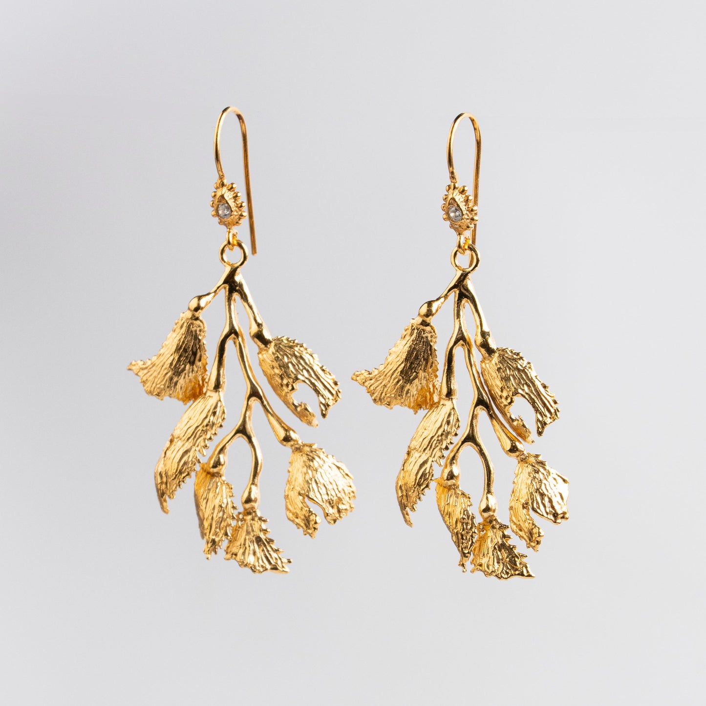 ARETE ALGA FUCUS