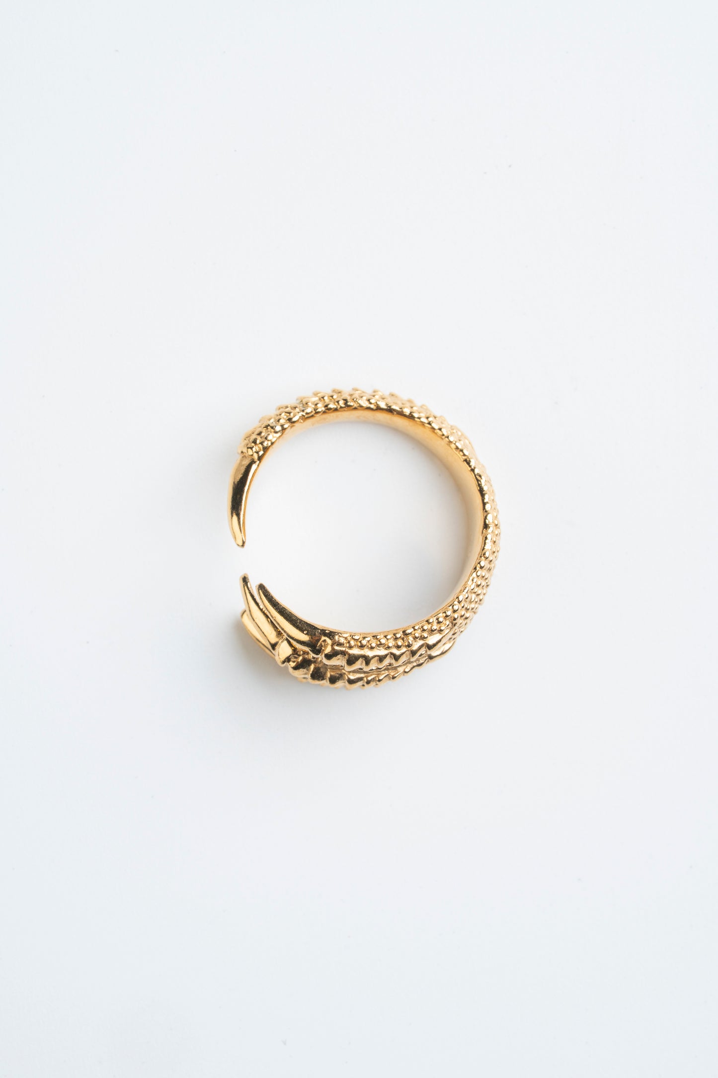 Anillo Garra de Pájaro: La sujeción dorada de la libertad.