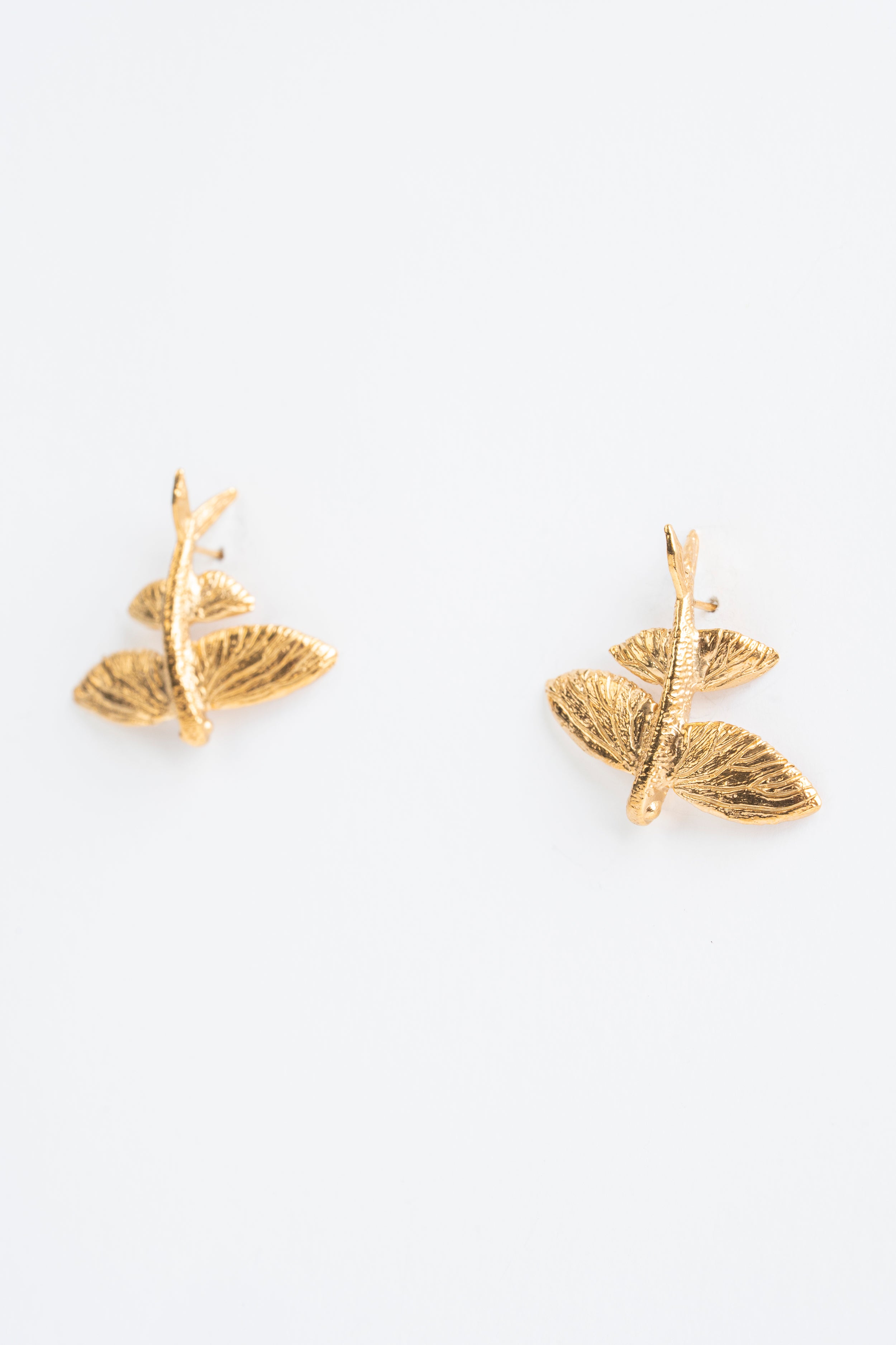 Volitans: The golden flutter that adorns your ear.