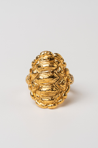 ANILLO ESCUDO CAPARAZÓN DE GALÁPAGO