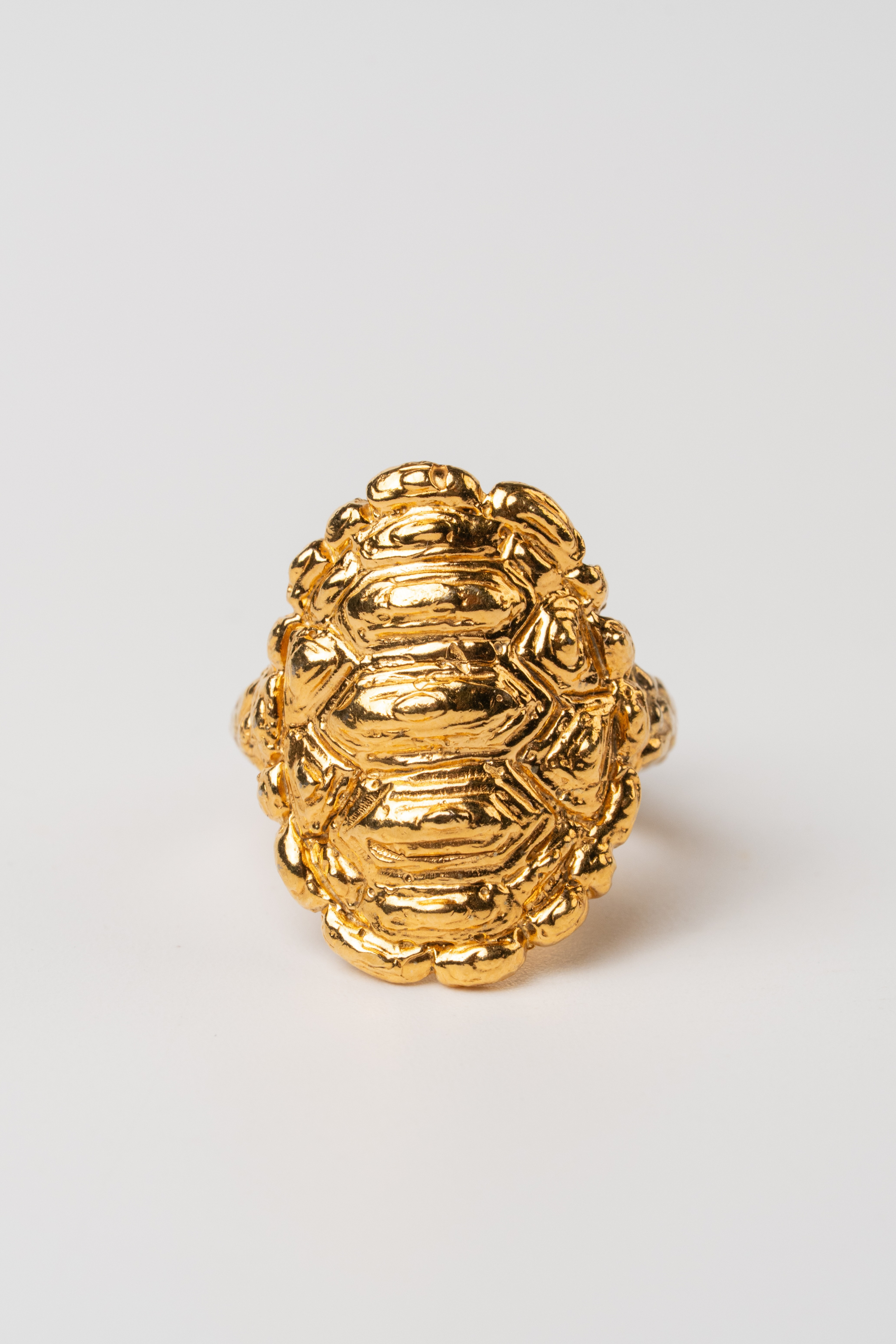 ANILLO ESCUDO CAPARAZÓN DE GALÁPAGO