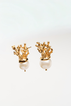 ARETE RAMO DE CORAL CON PERLA CULTIVADA: