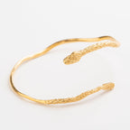 ARO SERPIENTE CASCABEL