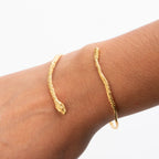 ARO SERPIENTE CASCABEL