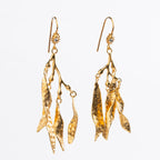 ARETE ALGA ESPIRULINA