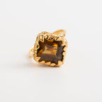 ANILLO JARDÍN DOS-CINCO: El Elixir Dorado del Alma