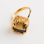 ANILLO JARDÍN DOS-CINCO: El Elixir Dorado del Alma