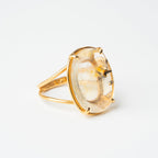 ANILLO DENDRITA: El Ecosistema Secreto del Alma