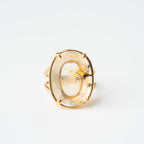 ANILLO DENDRITA: El Ecosistema Secreto del Alma