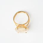 ANILLO DENDRITA: El Ecosistema Secreto del Alma