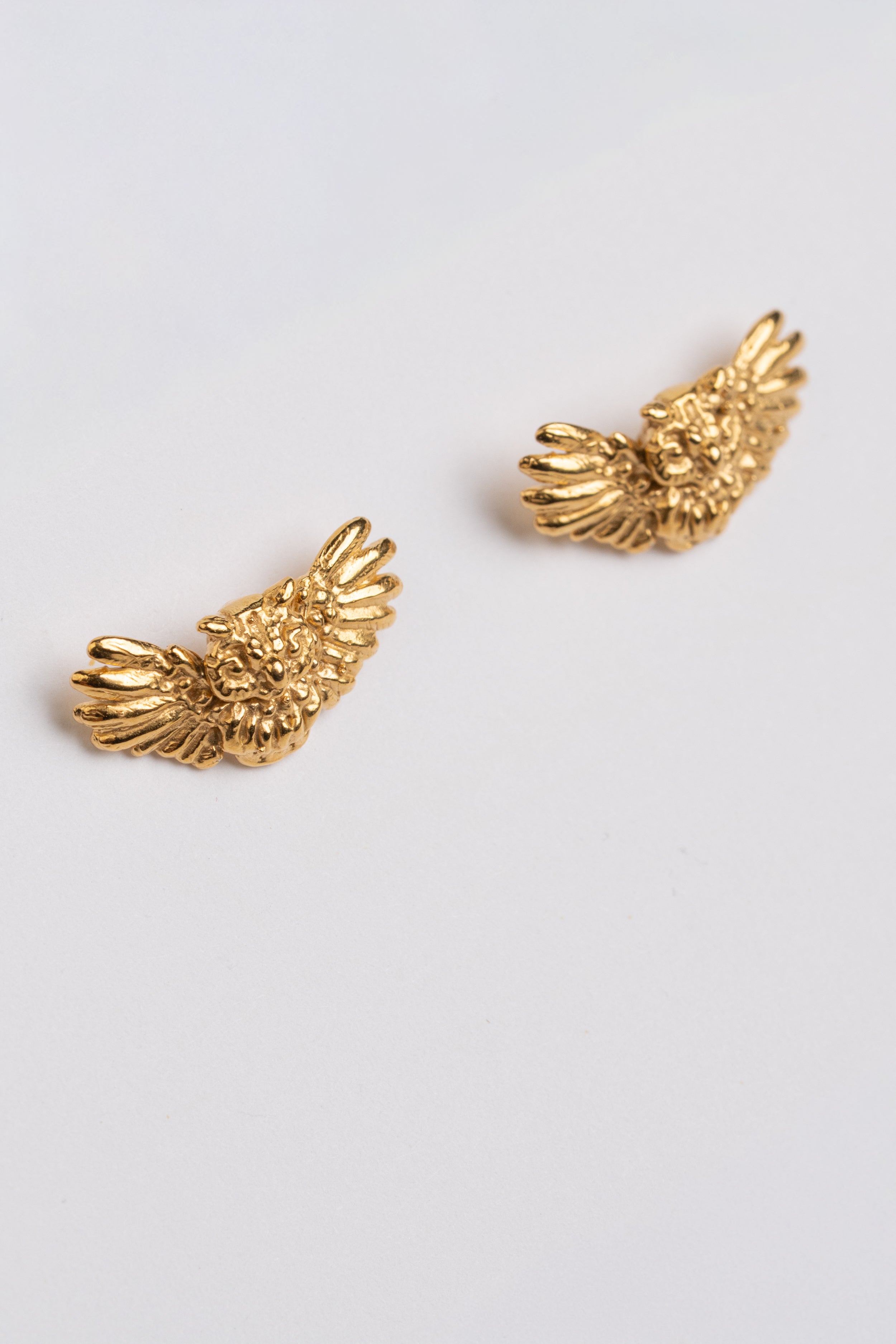 BROQUEL BÚHO: La Sabiduría