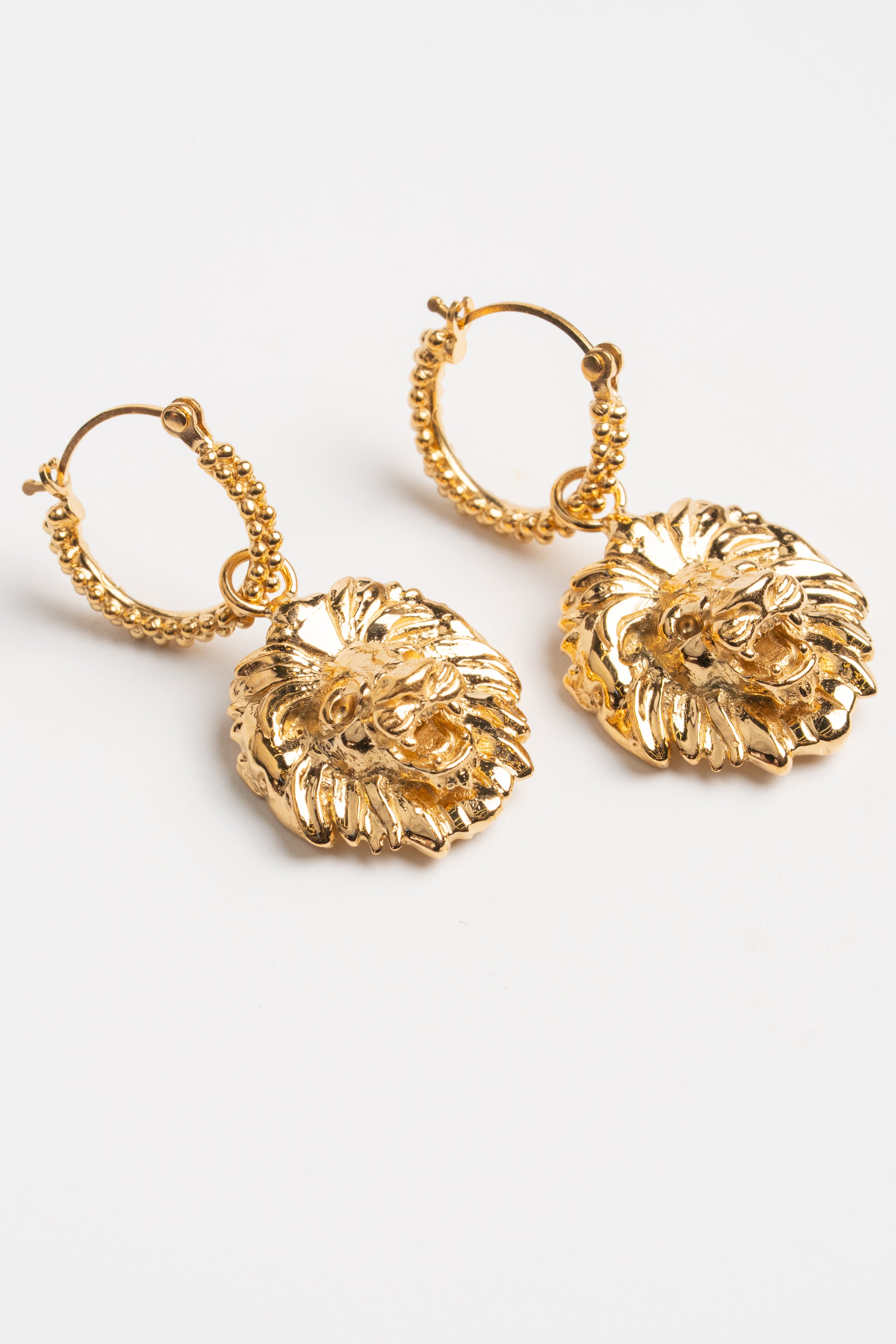 ARRACADAS LEÓN: La Fuerza