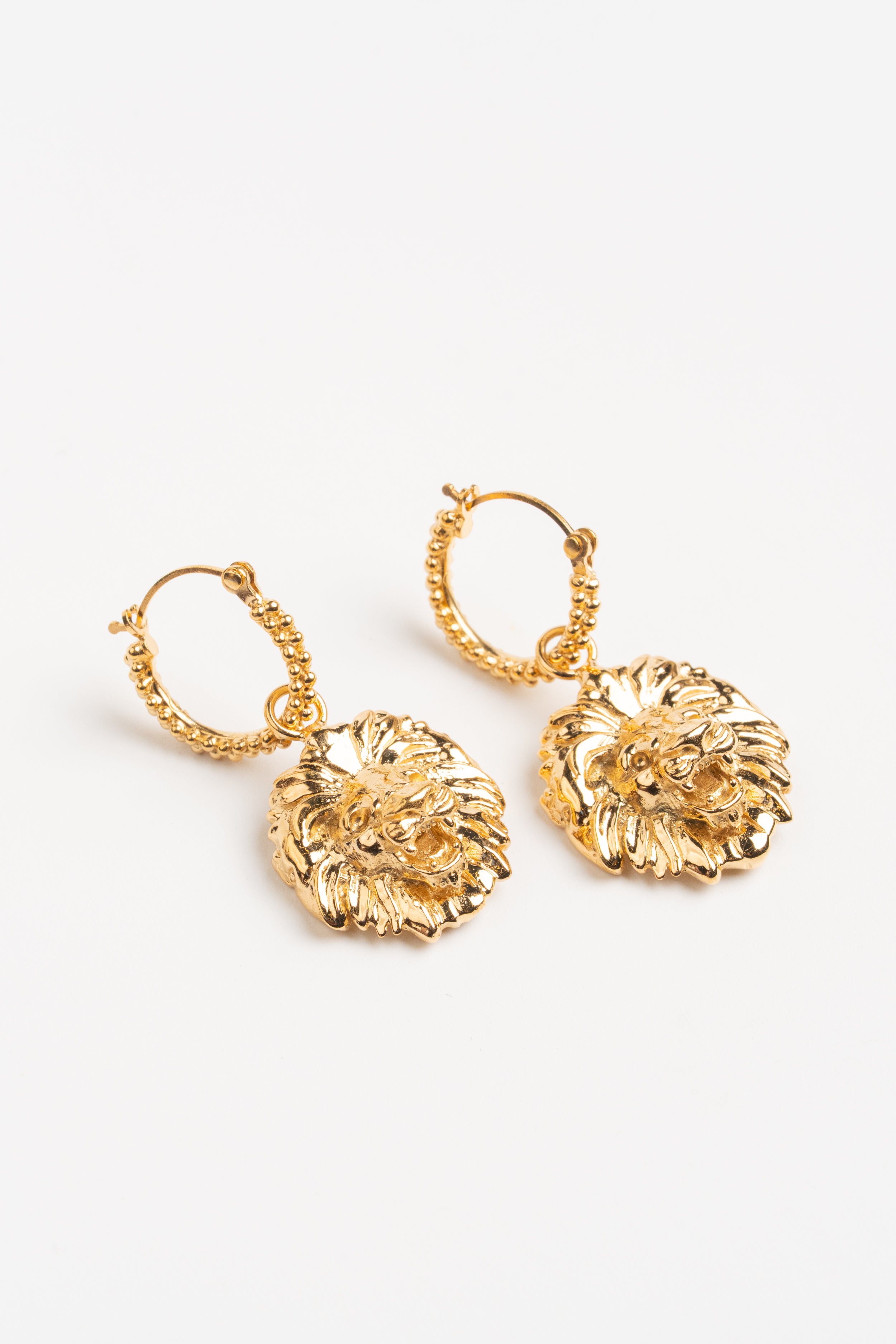 ARRACADAS LEÓN: La Fuerza