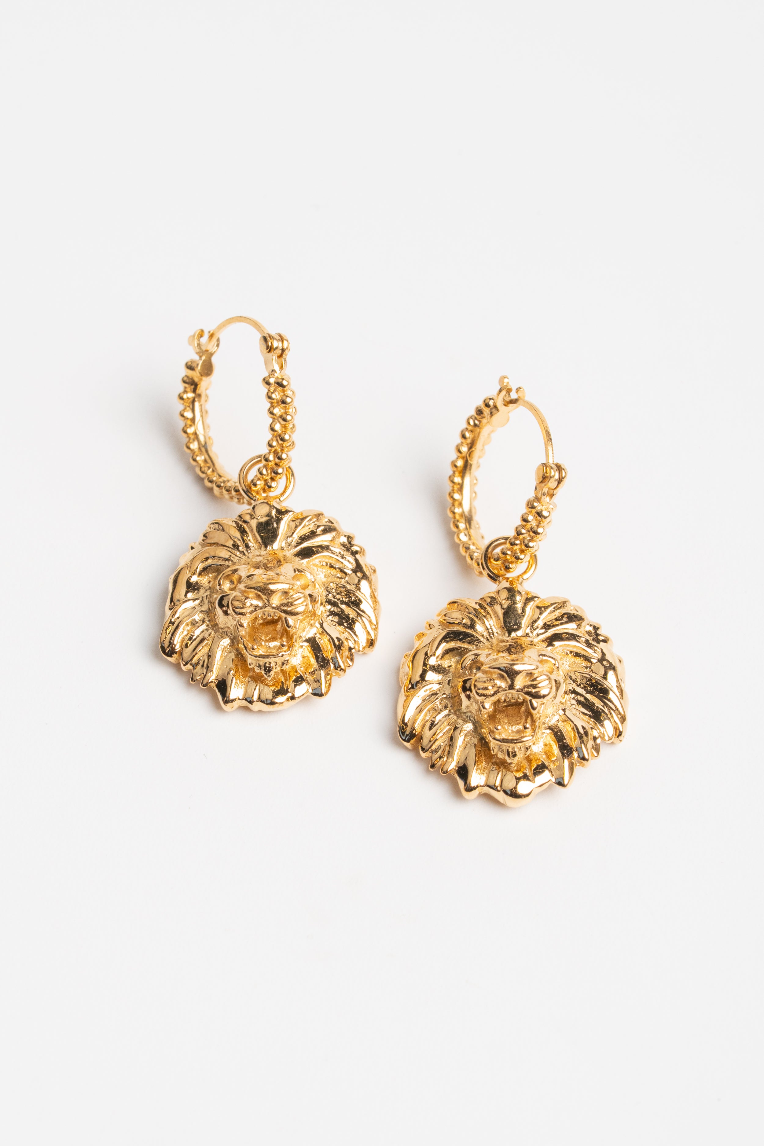 ARRACADAS LEÓN: La Fuerza