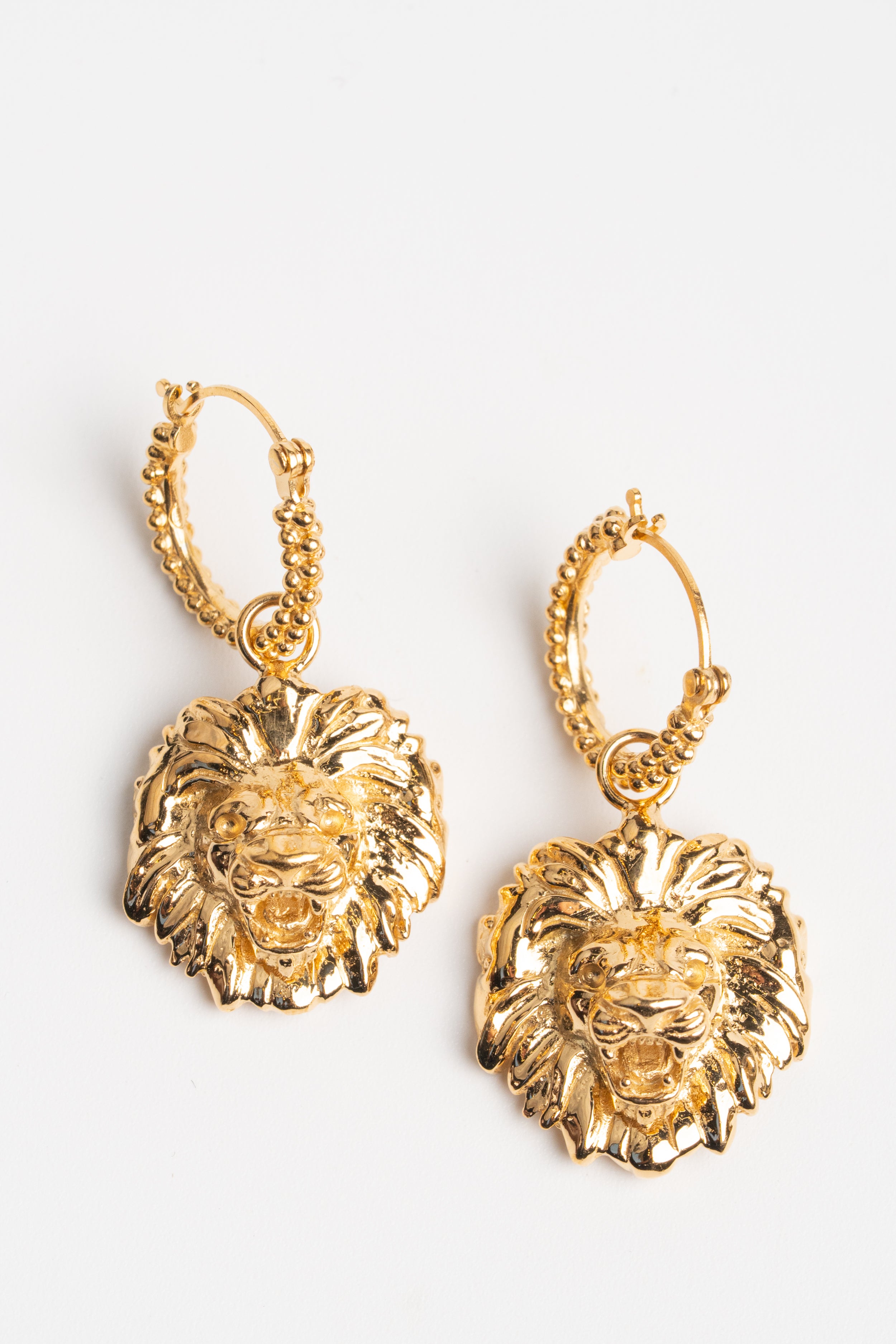 ARRACADAS LEÓN: La Fuerza