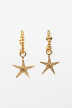 ARRACADA ESTRELLA DE MAR