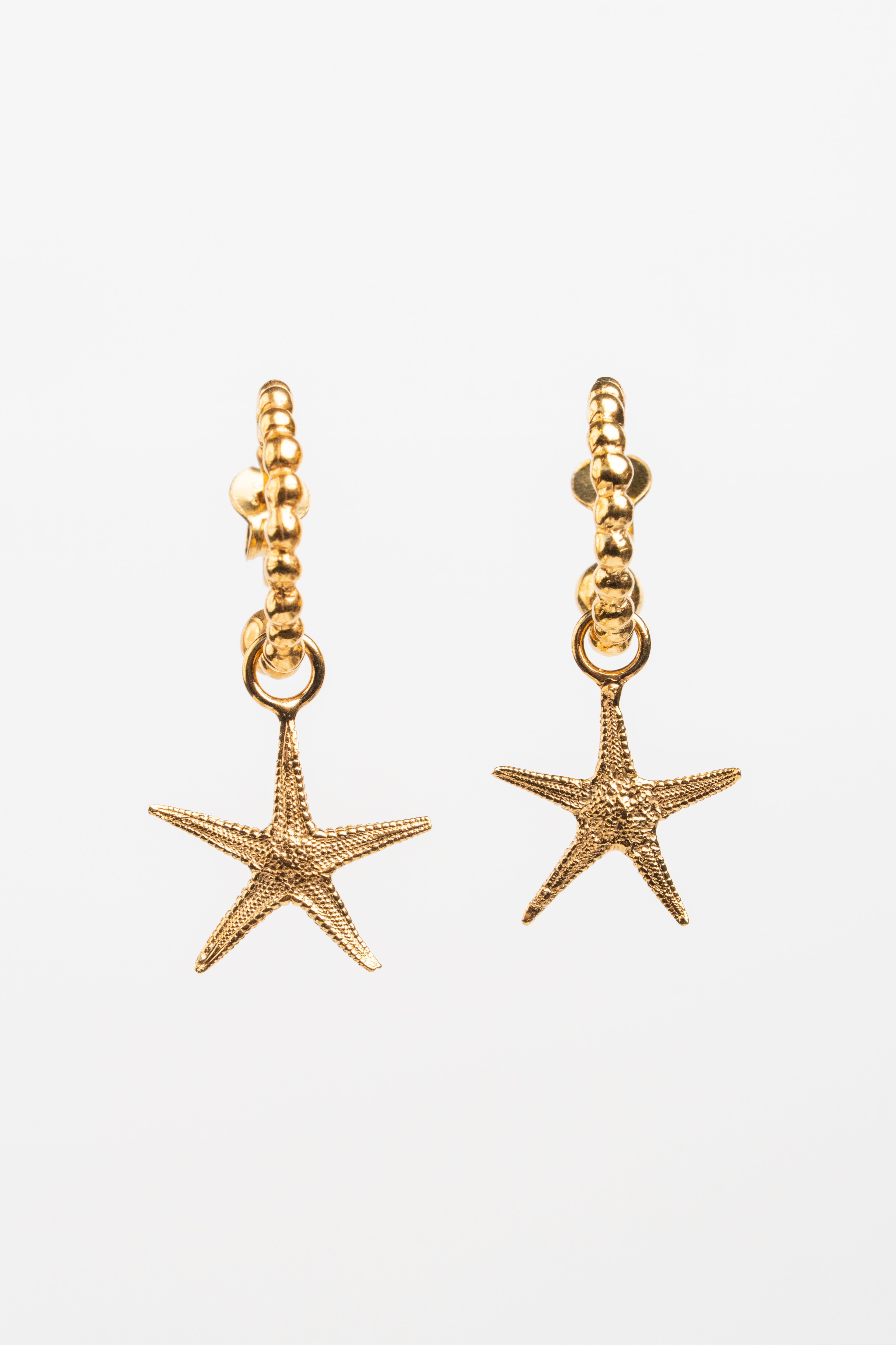 ARRACADA ESTRELLA DE MAR
