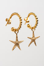 ARRACADA ESTRELLA DE MAR