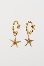 ARRACADA ESTRELLA DE MAR