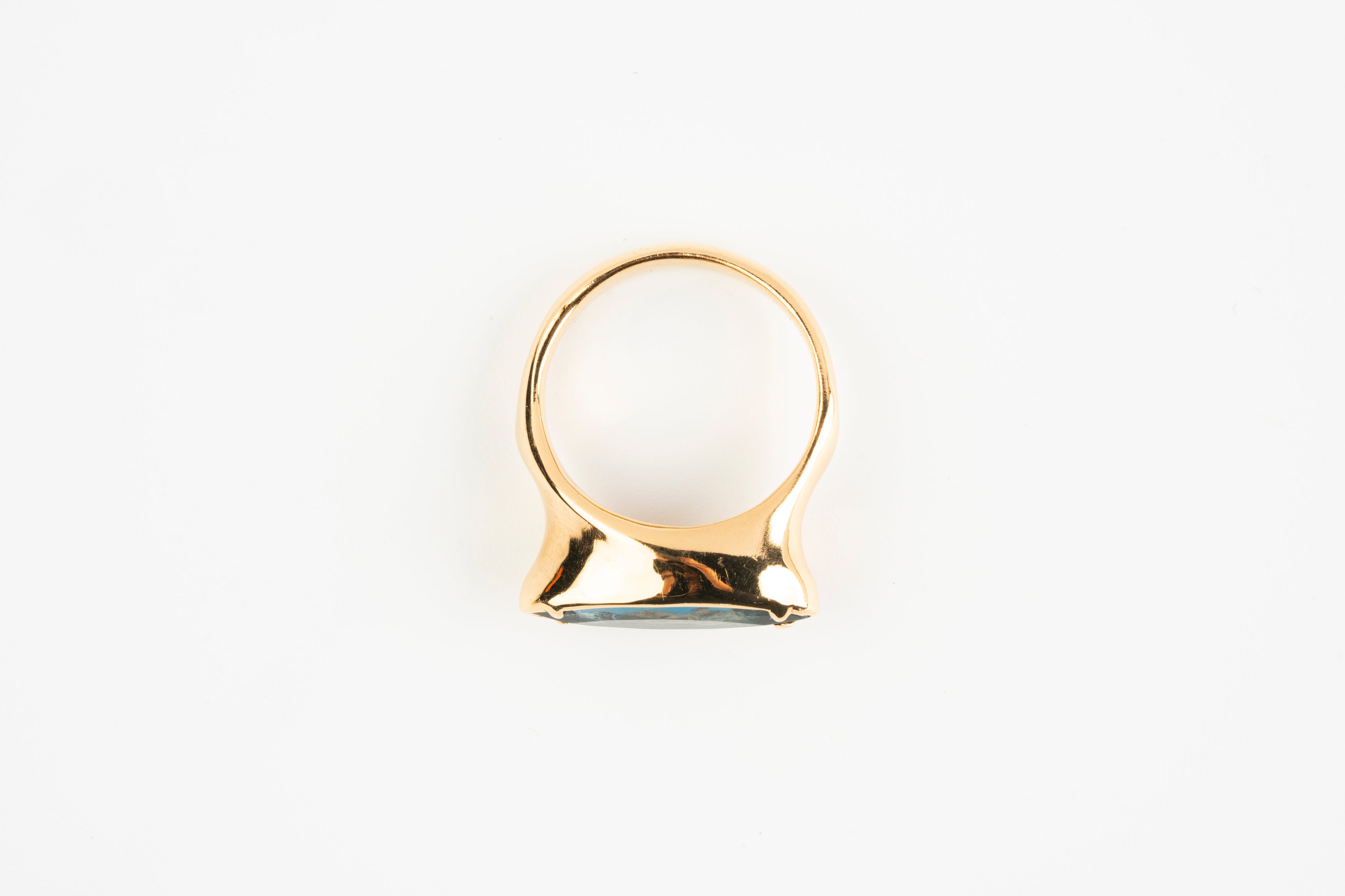 ANILLO SEMILLA