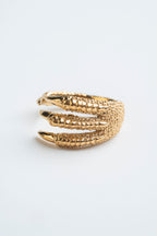 ANILLO GARRA DE PÁJARO: La sujeción dorada de la libertad.