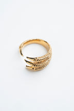 ANILLO GARRA DE PÁJARO: La sujeción dorada de la libertad.