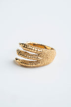 ANILLO GARRA DE PÁJARO: La sujeción dorada de la libertad.