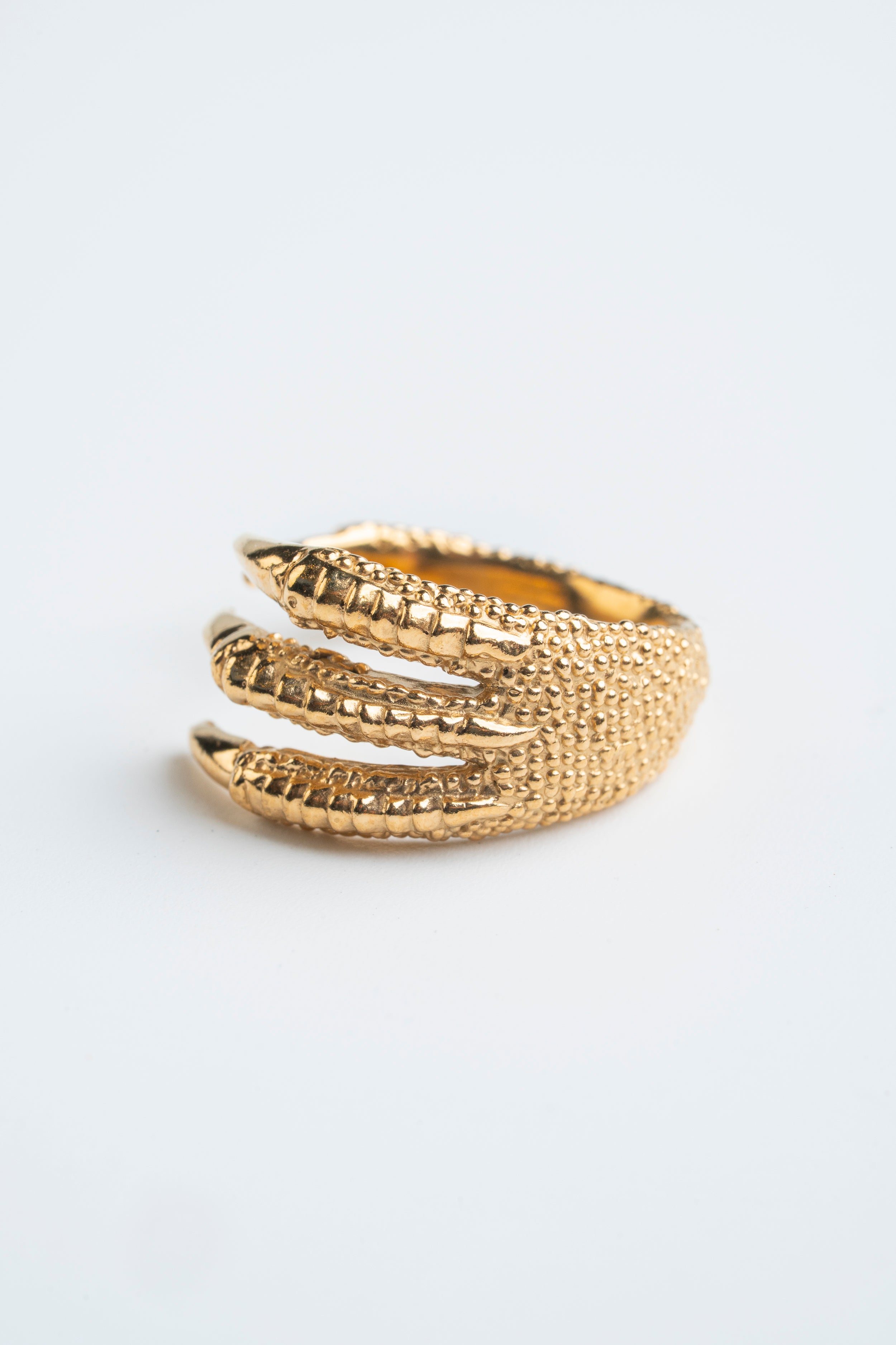 ANILLO GARRA DE PÁJARO: La sujeción dorada de la libertad.