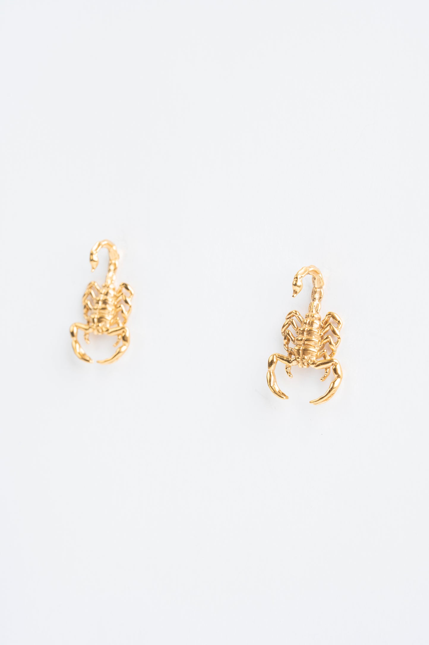Medium Scorpion Attack: A symbol of power that adorns your being.