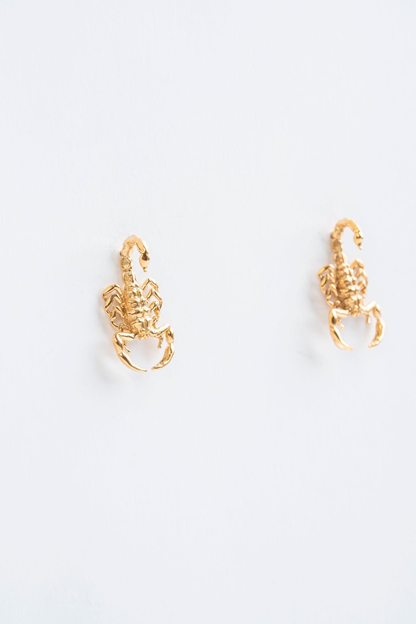 Medium Scorpion Attack: A symbol of power that adorns your being.