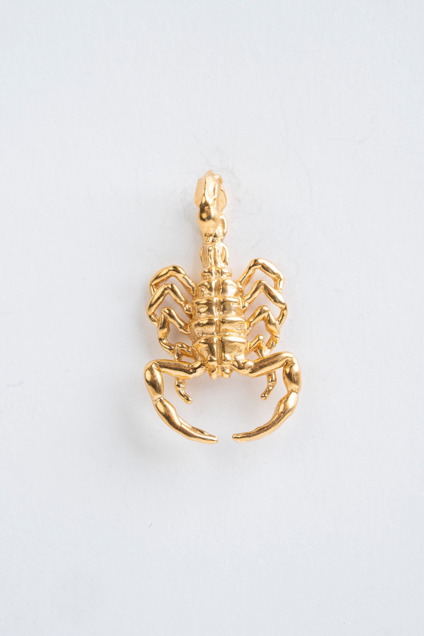 Medium Scorpion Attack: A symbol of power that adorns your being.