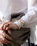 ARO ALA DE MARIPOSA: El Vuelo Ancestral de la Transformación