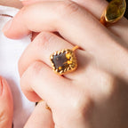 ANILLO JARDÍN DOS-CINCO: El Elixir Dorado del Alma