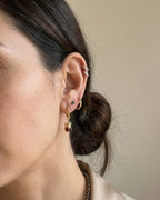 ARETES ESCARABAJO RINO CHICO