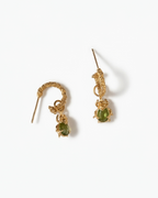 EL ESCARABAJO RINO: Símbolo de protección