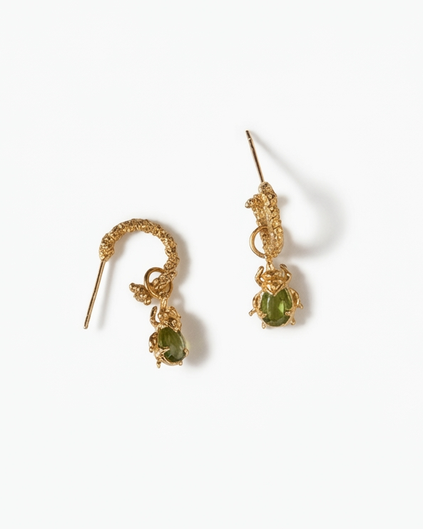 EL ESCARABAJO RINO: Símbolo de protección