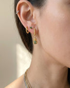 EL ESCARABAJO RINO: Símbolo de protección